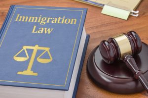 Immigration Law book and gavel