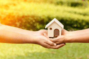 Public Housing and Undocumented Immigrants
