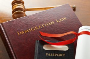 Immigration Law book with a gavel and passport