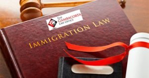 Immigration law book
