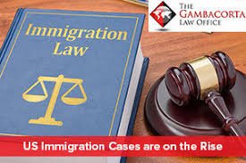 Immigration law book and gavel