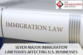 Immigration law book