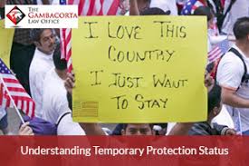 person holding a sign that says "i love this country. i just want to stay."